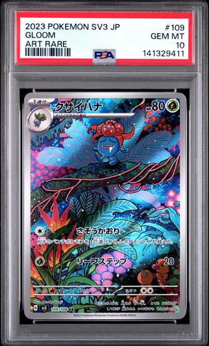 2023 pokemon jap ruler the - jap,