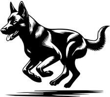 Adesivo MALINOIS adesivo auto