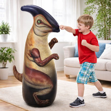 Palla Gonfiabile Da Bop Di