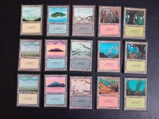 MTG Fbb Land  x 15 - Set