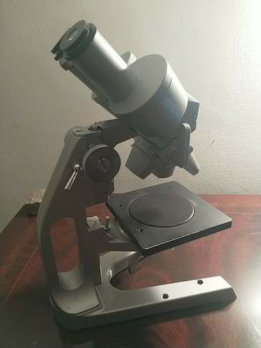 Stereomicroscope microscopio