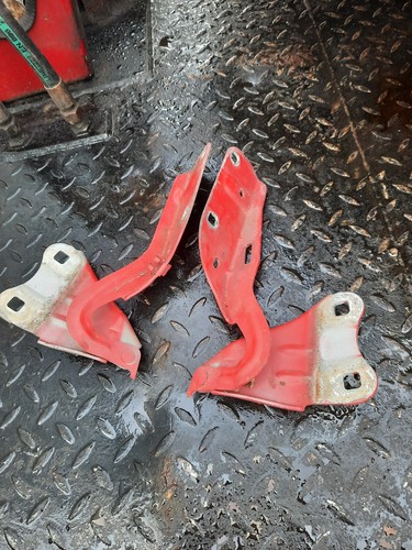 Cerniere cofano renault - cofano, twingo