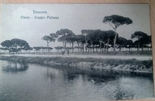 RAVENNA Staggio Pialassa Pineta Carretto Cavallo Primi 900   Bella !!!