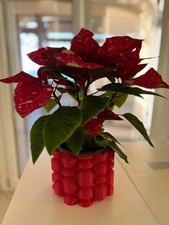 Portavaso stampato in 3d, Vaso