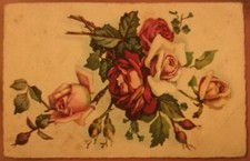 CARTOLINA ILLUSTRATA TEMATICA