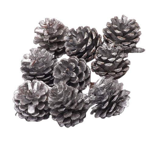 Set pigne per decorazioni - pigne,