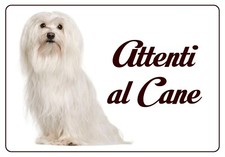 MALTESE TARGA ATTENTI AL CANE