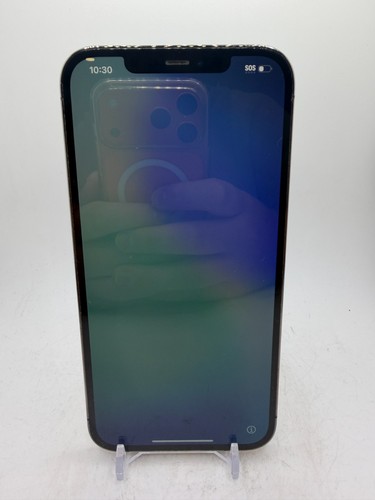 Apple iphone pro max - apple, 12