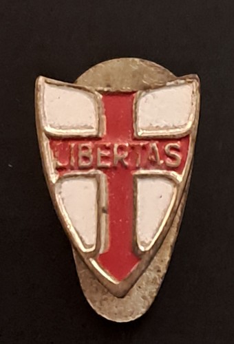 Distintivo spilla politica - distintivo,