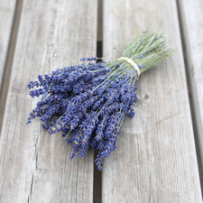 Mazzo di lavanda essiccata decorazione location-profumatore fiori secchi