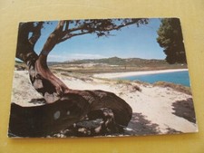 (FG.F47) TANCA MANNA di ARZACHENA - PANORAMA, SPIAGGIA (vg 1982)