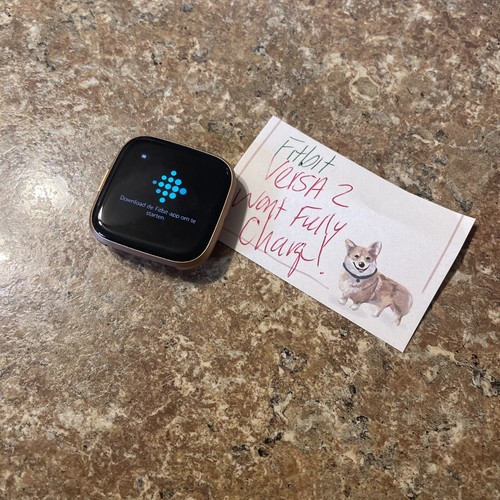 Smartwatch fitbit versa gold - smartwatch,