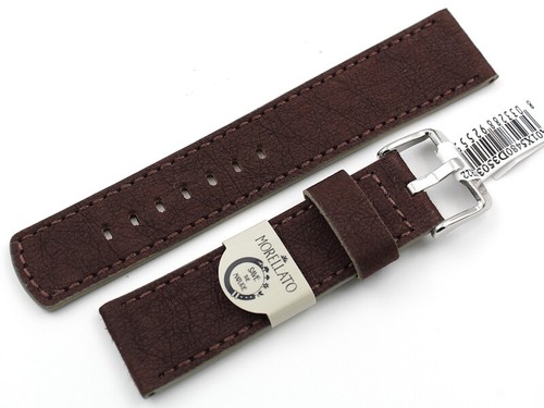 New watch strap - watch, of