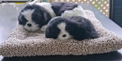 Realistico sleeping border - realistico,