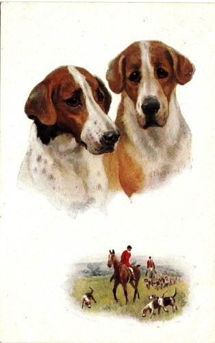 Cani scena caccia alla - scena, di