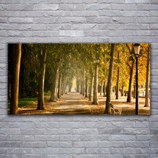 Glass print Wall art 120x60