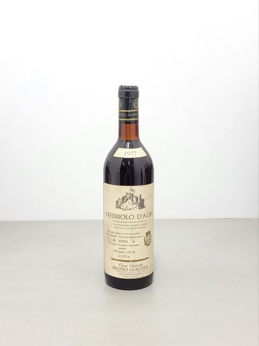 Nebbiolo alba bruno - bruno, giacosa