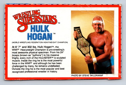 Hulk hogan 1984 - hogan, 1984-88