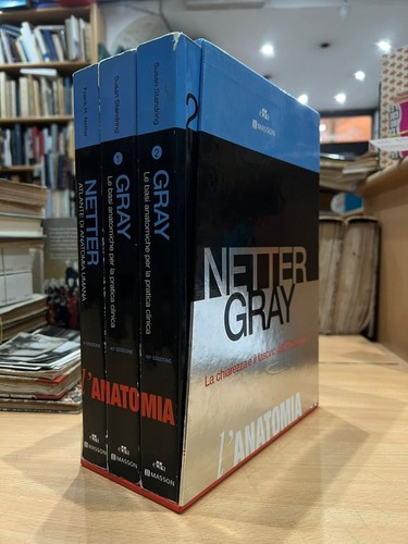 Netter gray chiarezza - netter, il