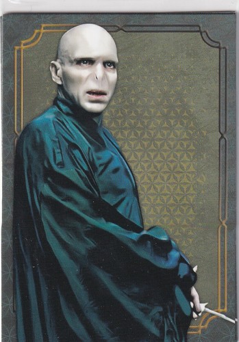 Panini harry potter - harry, evolution