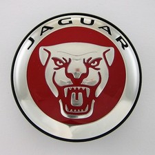 One jaguar growler - jaguar,