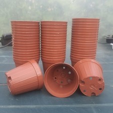 50x VASI PLASTICA  cm Ø 7 x H 6,3 x L 0,16 SEMINA GERMINAZIONE PIANTINE CACTUS