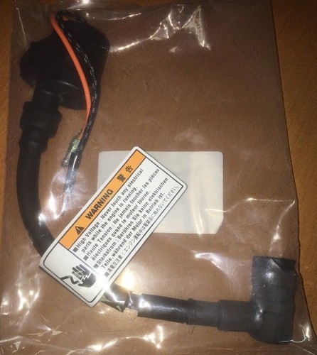 Bobina accensione originale - , ht