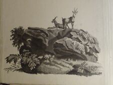 SCUOLA FRANCESE XIX DISEGNO