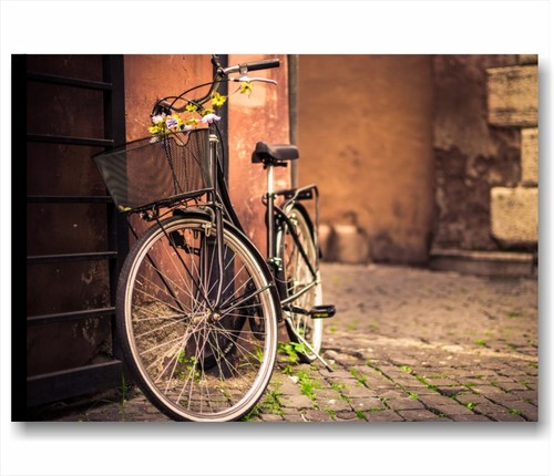 Bici vintage retro - 3, quadro