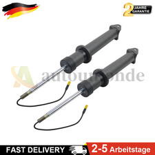 2pz Ammortizzatori Posteriori