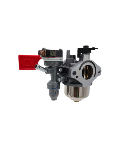 Briggs stratton carburatore - &,