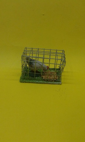 Gabbietta gallina che becca - , in