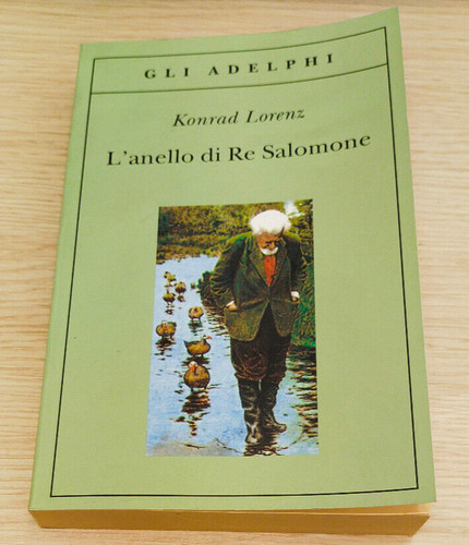 Anello re salomone - di,