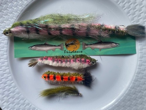 Irideus trota arcobaleno - trota,