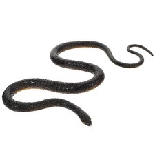 1 set di realistico serpente