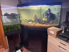 Acquario angolare + mobile +riscaldatore + filtrazione Askoll pratico