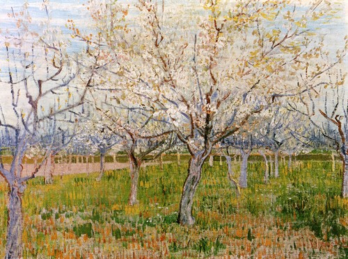 123 vincent van gogh il - 123,