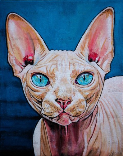 Ritratto gatto sphynx acrilico