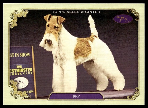 2024 topps allen ginter - 2024, &