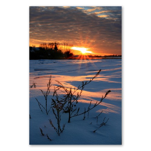 Postereck 1753 poster leinwand - postereck,