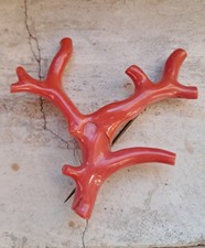 GRANDE SPILLA RAMO DI CORALLO