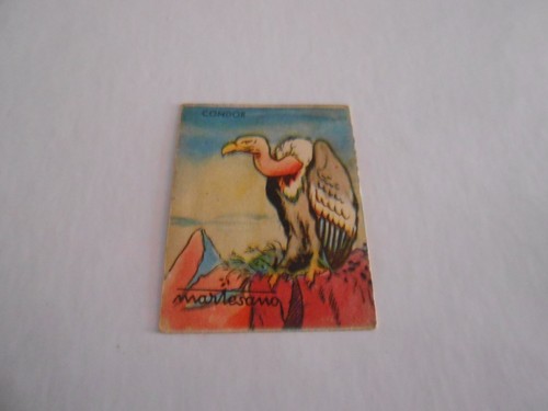 Figurina carta geografica del - geografica,