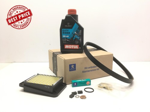 Kit tagliando peugeot tweet - kit,
