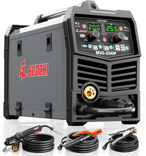 Saldatrice 110v 220v - in, 1