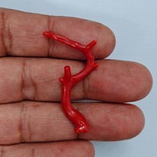 Ramo di corallo rosso