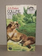 Baker - COLLINE D'ESTATE - 1a