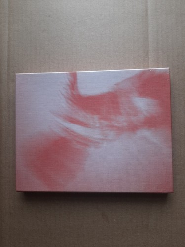 Sigur ros jonsi go - sigur,