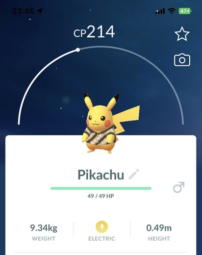 Costume pikachu indonesia - costume, bali