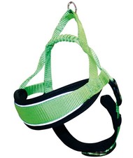 Pettorina Svedese Endurance