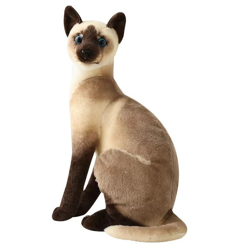 Peluche gatto siamese - , 8"